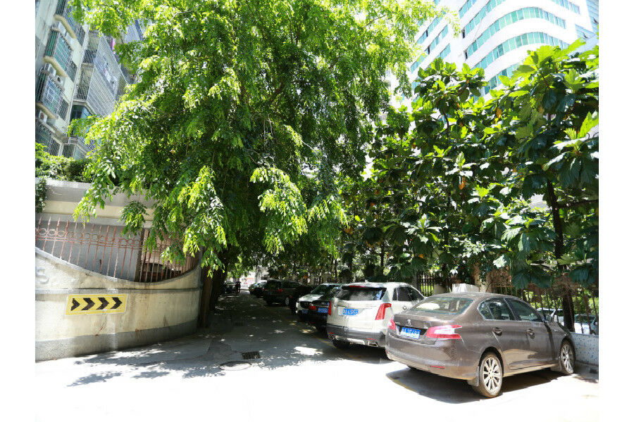 锦江都城酒店海南省政府日月广场免税店 Haikou  Esterno foto
